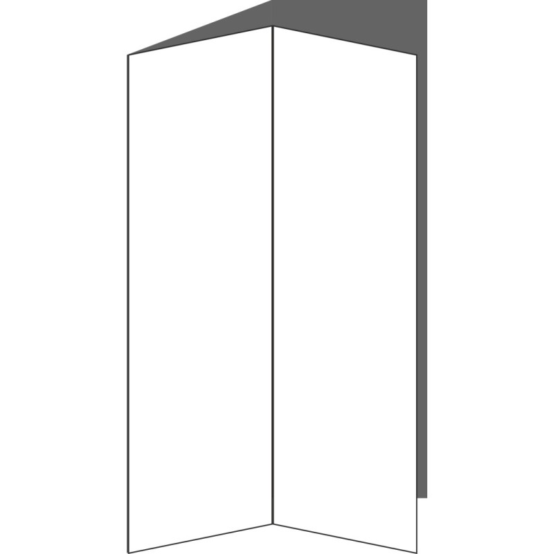 Tür Eckschrank 26x80 links(2 Stück)