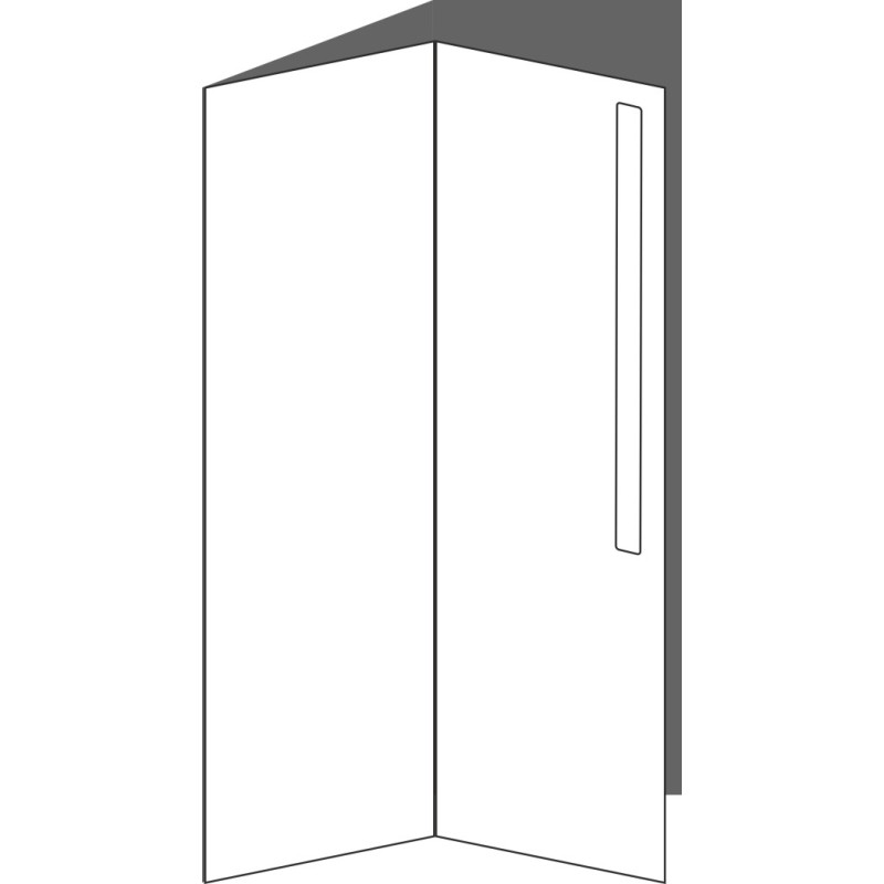 Tür Eckschrank 26x80 links, für Eckschränke (2ST), ONE_LINE MONO (2 Stück)